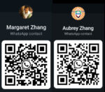 张钧陈泳WhatsApp