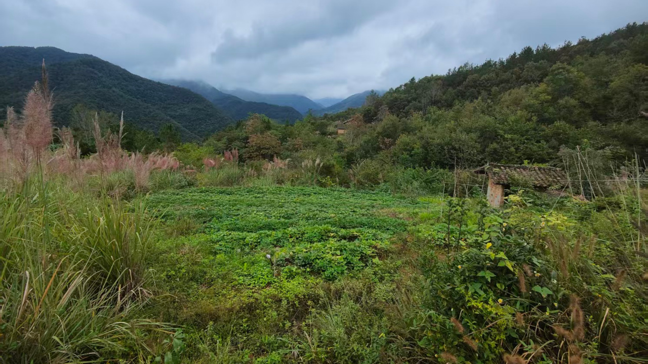 湖北深山老宅1
